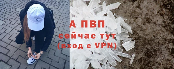 крисы Баксан